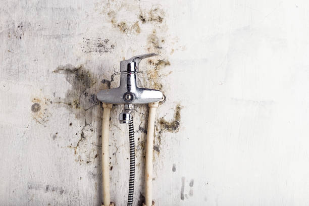 Home Mold Removal in Barker Heights, NC