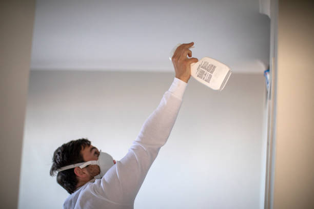 Best Mold Damage Repair  in Barker Heights, NC