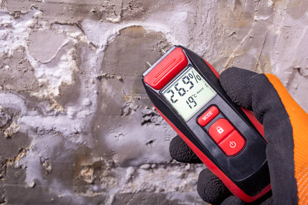 Best Mold Testing and Removal  in Barker Heights, NC