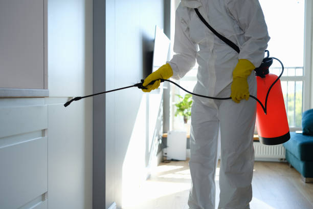 Mold Testing and Removal in Barker Heights, NC