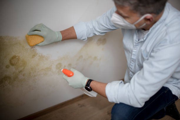 Best Water Damage Restoration  in Barker Heights, NC
