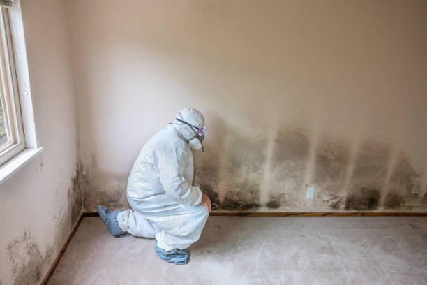 Water Damage Restoration in Barker Heights, NC